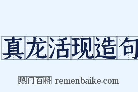 真龙活现造句是什么意思的图片